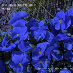 아무 바람에 흔들리지 말아요