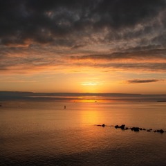 Echoes of the sea