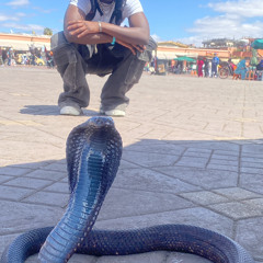 GOOD Ass Day