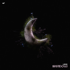 Lemi - SHADOW (SWAGGER Bootleg)