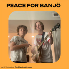 Peace For Banjö