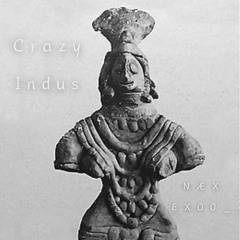EXOO_  X NÆX - CRAZY INDUS