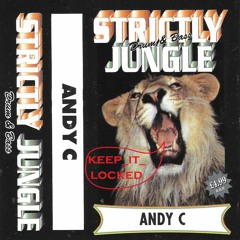 Andy C - Knights Of The Round Turntables 28-06-96 Strictly Jungle