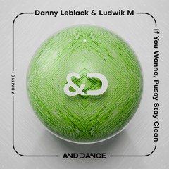 Danny Leblack & Ludwik M - If You Wanna (Original Mix) MSTR