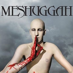 Meshuggah - Bleed (Big Feta Remix)