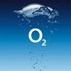 OXYGEN - Dirty Heads (T!GER CH!LD REMIX)