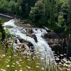 Falling - Julee Cruise, Angelo Badalamenti, David Lynch (mango dreamgirl cover) [demo]