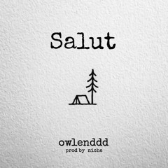 owlenddd - Salut (prod by niche)