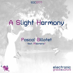 Pascal Billotet - A Slight Harmony