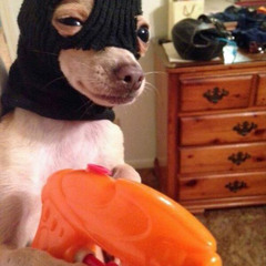 A VERY QUIET HEIST ATTEMPT•