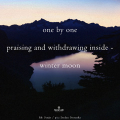 one by one (Naviarhaiku 578)