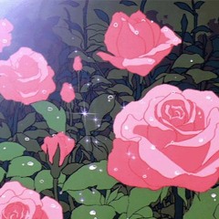 Throwing Roses