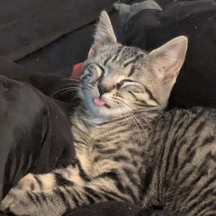 WARNING_HEADPHONES_NOT_RECOMEDED.mp3