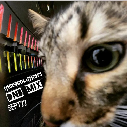 SPETEMBER 22 DNB MIX