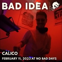 Bad Idea: Calico @ No Bad Days (February 11, 2023)