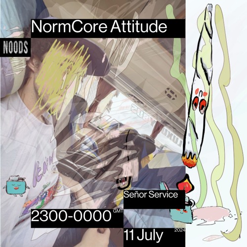 NormCore Attitude 53 w/ Señor Service
