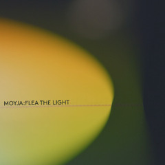 Flea The Light