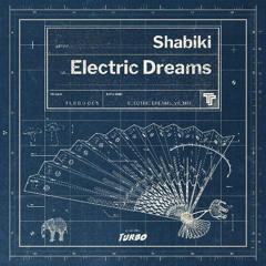 Shabiki - Pulse & Drive (Original Mix)