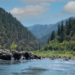 A River, Some Fish And Some Flies