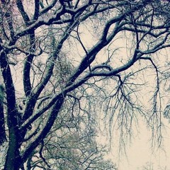 l'hiver arrive