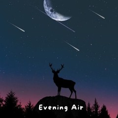 Lofi Sleep 😴 lofi Study 📚 Instrumental Lo-Fi Beats 🎵 Evening Air