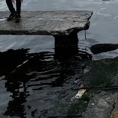 Sevda Yolcusu (p. eddyd4vizz)