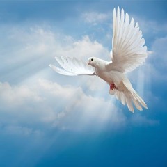 majin buu revival (prod. slagter)