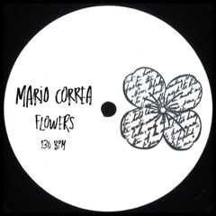 Mario Correa - Flowers (Original Mix)