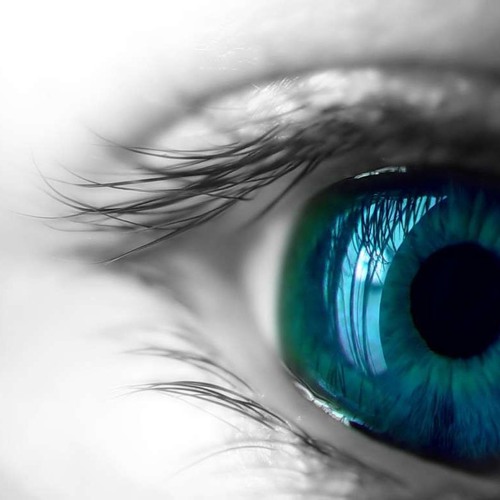 Fresh Produce 160 - Qualia