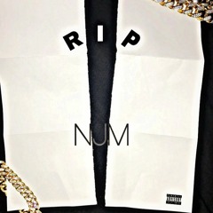RIP (Prod. Palaze X Spaceman)