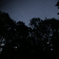 at dawn (august 2022)