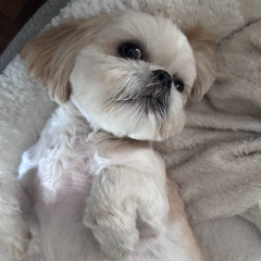 House/Deep House Mix