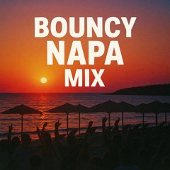 HNTR - Bouncy Napa Mix