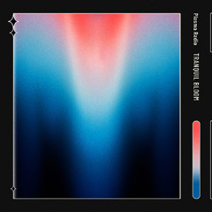 Plasma Radio - Tranquil Bloom