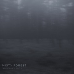 Misty Forest