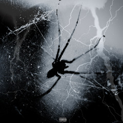 Misfit (Prod. Marrasfall)