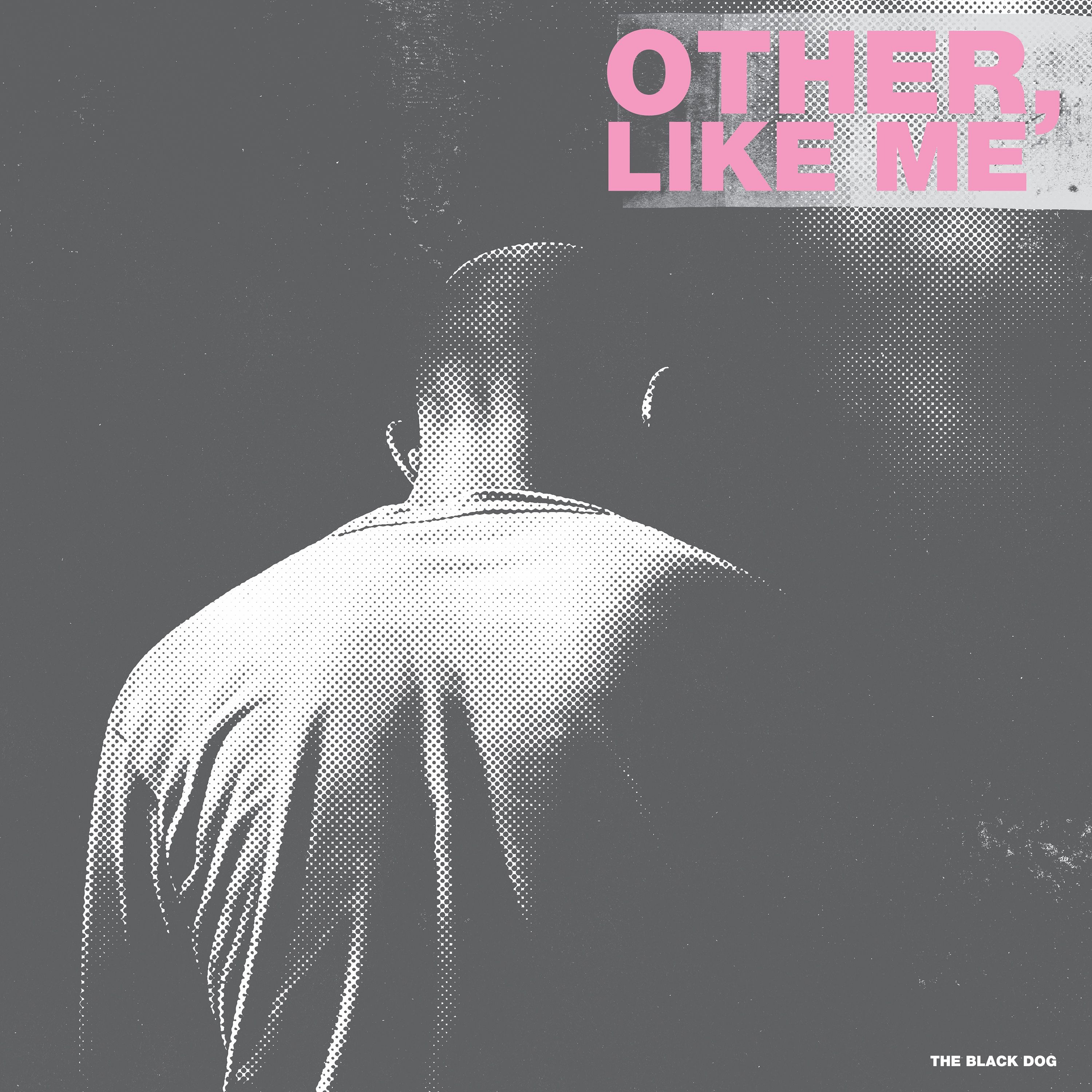 Other, Like Me episode artwork