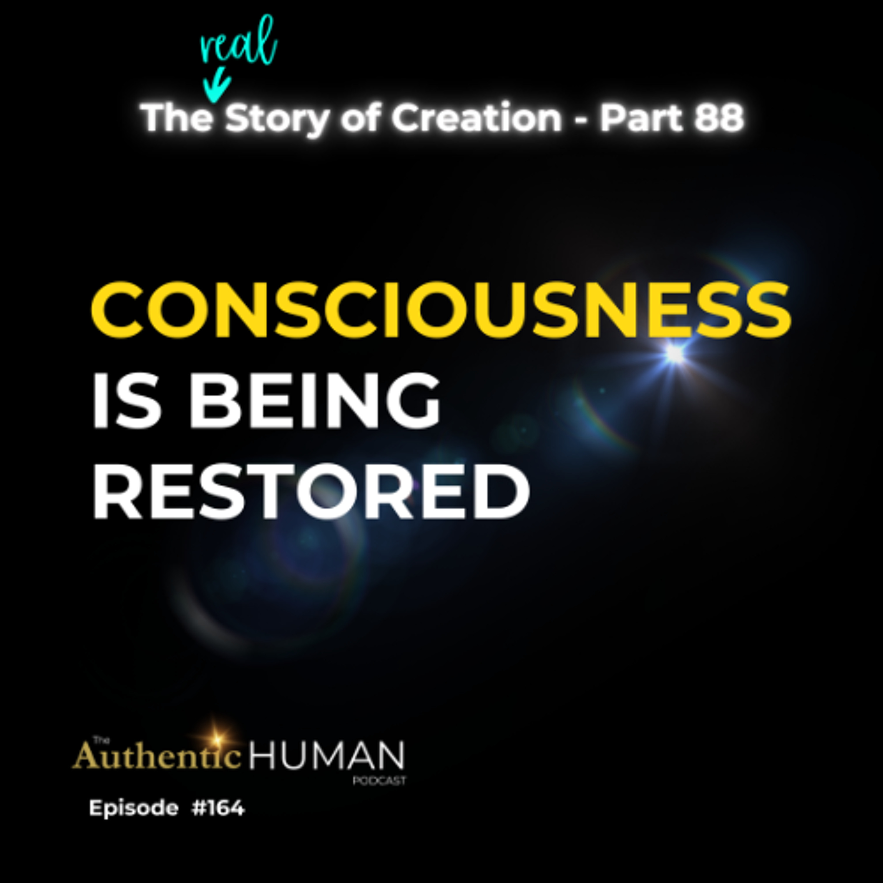 EP164 The Story of Creation Part 88