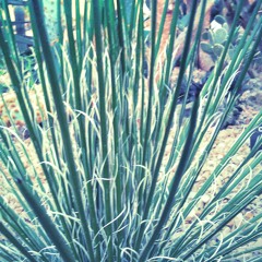 WindChimes - prod. Mimi Noel