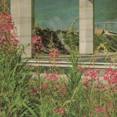 J-13 - TOUT EST DISCO SUR TERRE