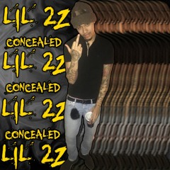 Lil 2z - Concealed