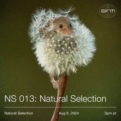 NS013 w/ Natural Selection