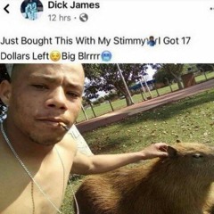 twikipedia - Baby santa