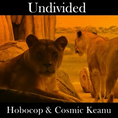 Undivided (Hobocop & Cosmic Keanu) - VIDEO AVAILABLE
