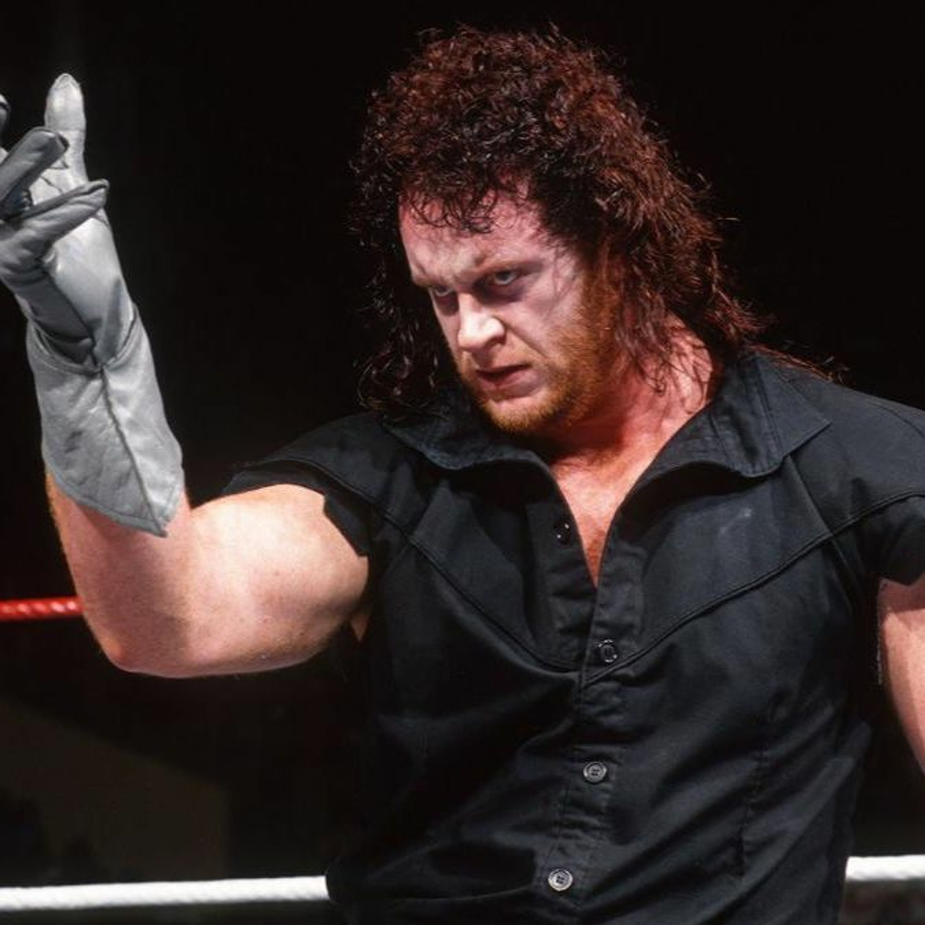 The Wrestlecube