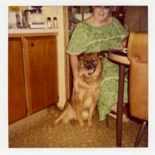 Thomas Ford, the Dog (COM 1610 Lab 3)
