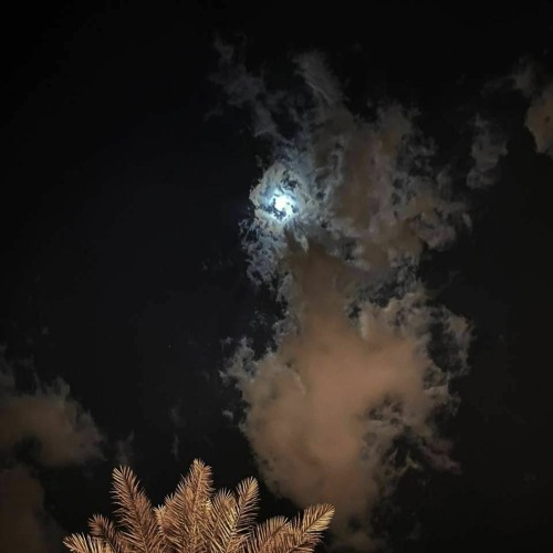 لامية أبي طالب - "خليلي ما أذني لأول عاذل"