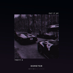 Put It Up (feat. Treyy G)