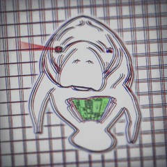 manatee supercomputer