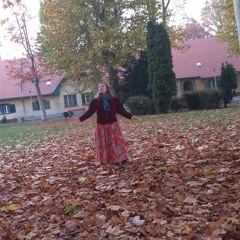 2020. 11. 08. 15: 50 – Kertbe' virágot szedtem